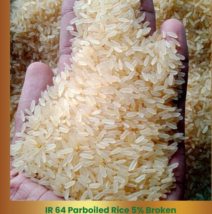 whatsapp image 2025 12 19 at 11.40.15 am (1)