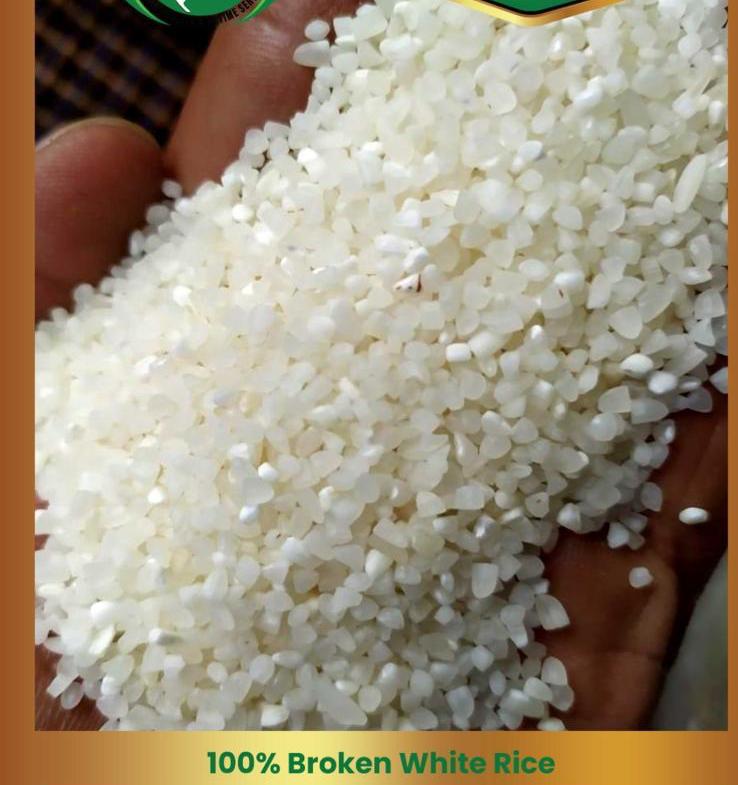 whatsapp image 2025 12 19 at 11.40.15 am